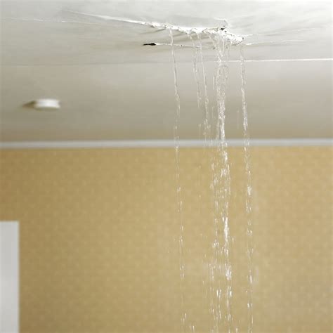 dreaming of water leaking from ceiling|Dream of a Leaking Ceiling: Harness the Power of。